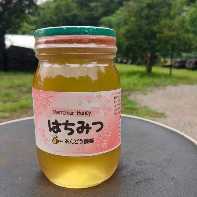 【トチ】はちみつ 600g 1瓶 1