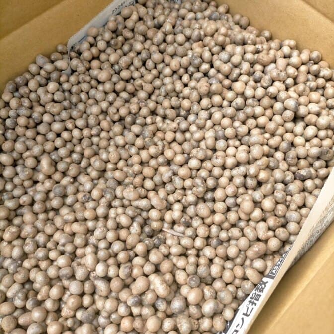 【Sサイズ】鳥取県産むかご 10kg 1