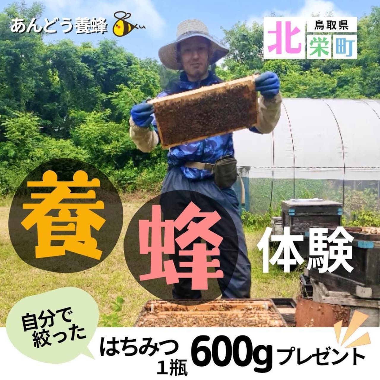 養蜂体験